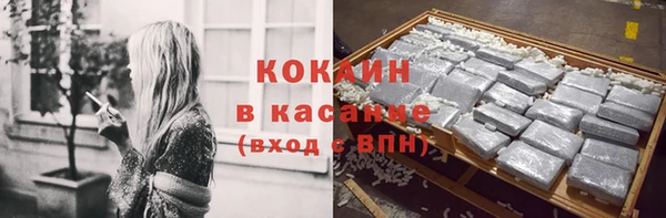 дурь Арсеньев