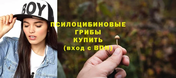 СК Алексин