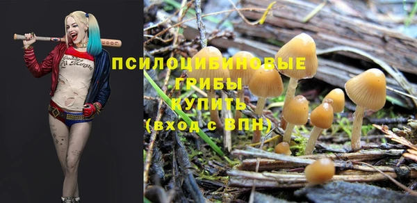 дурь Арсеньев