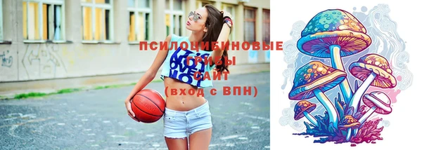 дурь Арсеньев
