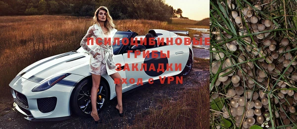 jwh Аркадак