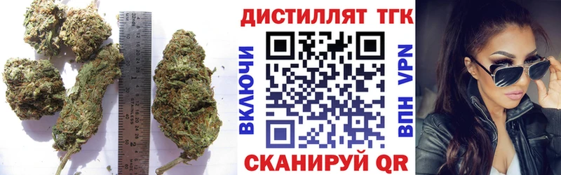 ТГК концентрат  Ахтубинск 