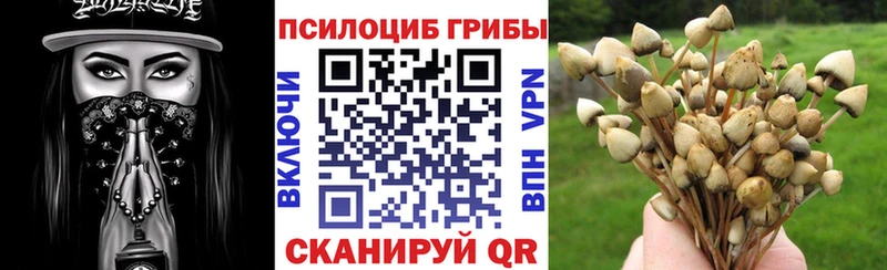 Псилоцибиновые грибы Magic Shrooms мега tor Ахтубинск