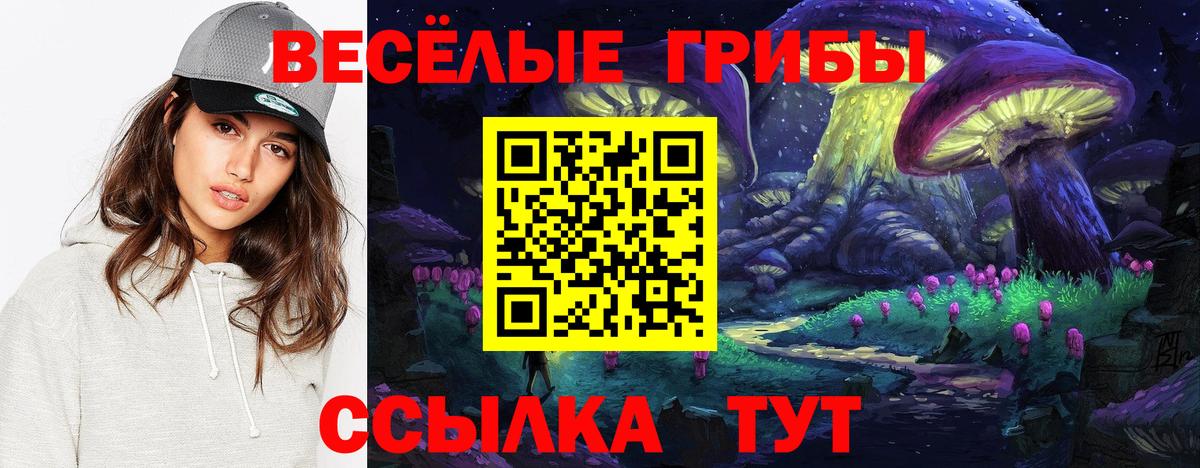 Галлюциногенные грибы ЛСД  Галлюциногенные грибы Cubensis  купить наркоту  Ахтубинск  Вход с VPN 