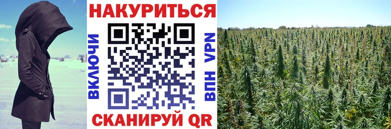 купить наркотики цена  Ахтубинск  Канабис White Widow 